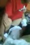 ABG SMA ML Di Sofa ABG SMA ML Di Sofa