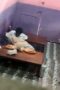 Abis Makan Enakan Nyepong Abis Makan Enakan Nyepong