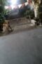 Doggy Di Portal Komplek Doggy Di Portal Komplek