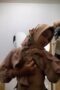 Guru Jilbab Disuruh Remas Endingnya Bilang Udah Guru Jilbab Disuruh Remas Endingnya Bilang Udah