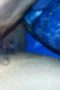 Janda - Ngewe Handuk Biru - POV Janda - Ngewe Handuk Biru - POV