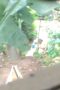 MBAK MANDI OUTDOOR MBAK MANDI OUTDOOR