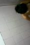 Ngintip - Anak SMP Mandi Part 3 Ngintip - Anak SMP Mandi Part 3