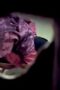Ngintip - Jilbab Ungu Colmek Di Waktu Magrib Ngintip - Jilbab Ungu Colmek Di Waktu Magrib