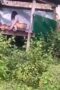 Saung gaming Saung gaming