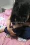 Skandal Teman Kantor Sensor Wondershare 1 Skandal Teman Kantor Sensor Wondershare 1