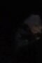 Subuh Tadi Ada Suara Plok Plok Subuh Tadi Ada Suara Plok Plok