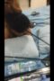 lanjutan Ngerokin bonus ngewe lanjutan Ngerokin bonus ngewe