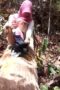 Scandal - Jilbab Pink Di Hutan - Jangan Rekam Mukaku Scandal - Jilbab Pink Di Hutan - Jangan Rekam Mukaku