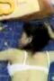 Tante - Aisya Doggie Di Kasur Biru Tante - Aisya Doggie Di Kasur Biru