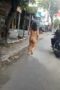 Stress Bugil Lari Di Jalan Stress Bugil Lari Di Jalan