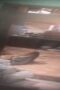 Ngintip Cewe Hamil Sange Sambil Nonton TV pt4 Ngintip Cewe Hamil Sange Sambil Nonton TV pt4