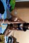 Ngewe dikost wot kasur sprei bh biru sensor Ngewe dikost wot kasur sprei bh biru sensor