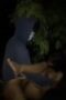 ngentot di hutan di atas motor pakai masker ngentot di hutan di atas motor pakai masker