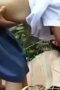 SMK doggy di hutan alas karton SMK doggy di hutan alas karton