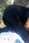 Pelajar jilbab hitam WOT di hutan Pelajar jilbab hitam WOT di hutan