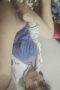 Bela colmek baju putih biru Bela colmek baju putih biru