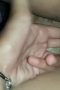 Sinta SMA colmek cd biru pov Sinta SMA colmek cd biru pov