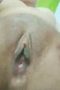 Silvia SMA colmek pov ep3 Silvia SMA colmek pov ep3